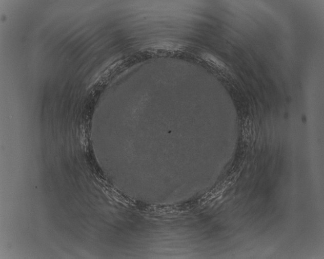 X0000073720774200608171202