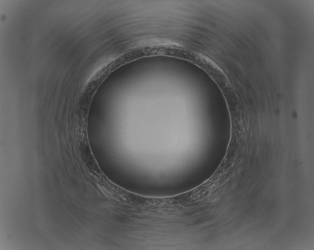 X0000073720775200608171202