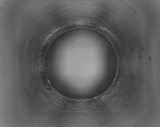 X0000073720776200608171202