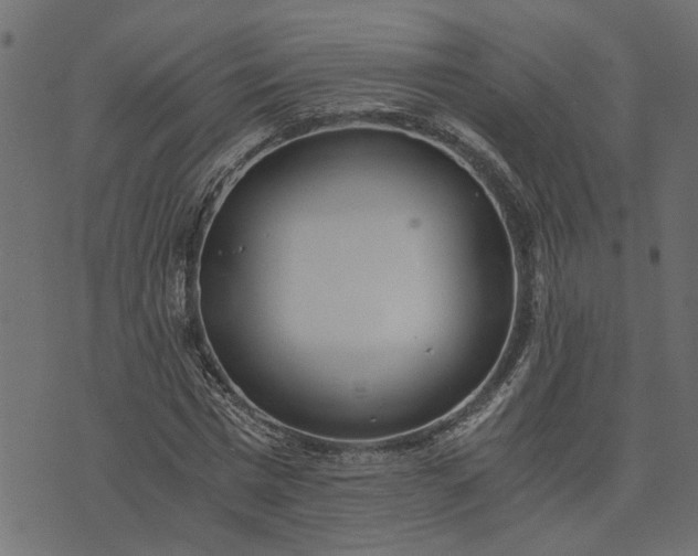 X0000073720777200608171202