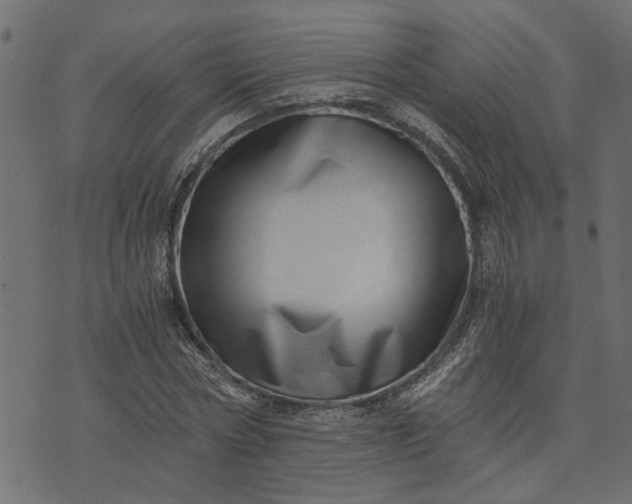 X0000073720778200608171202