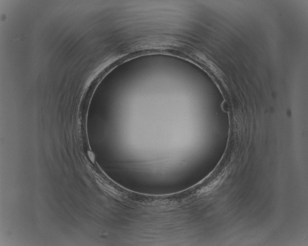 X0000073720779200608171202