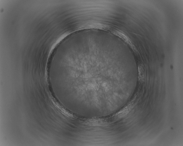 X0000073720780200608171202