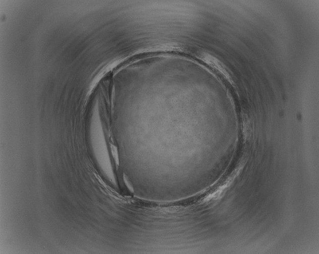 X0000073720781200608171202