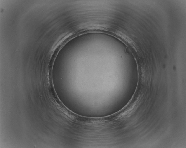 X0000073720782200608171202