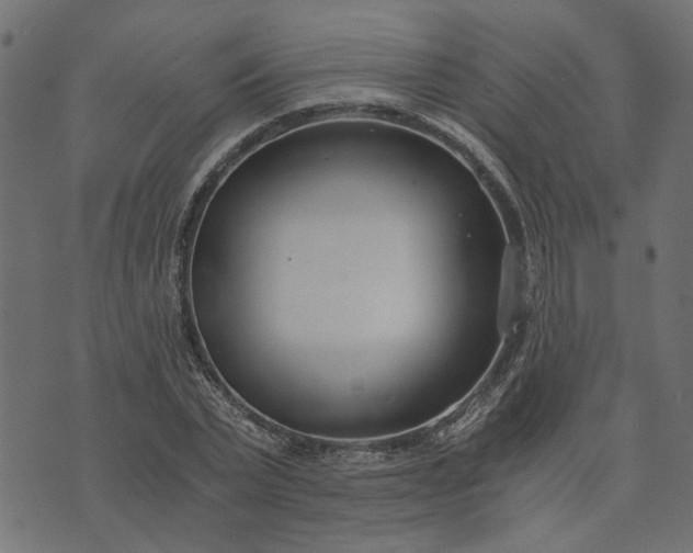 X0000073720783200608171202