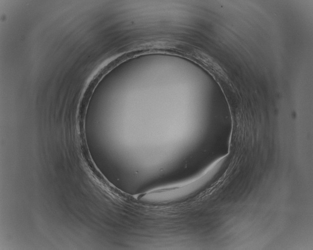 X0000073720784200608171202