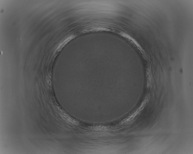 X0000073720785200608171202