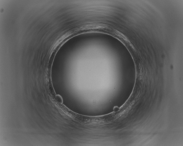 X0000073720786200608171202