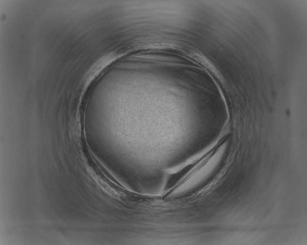 X0000073720787200608171202