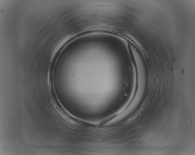 X0000073720788200608171202