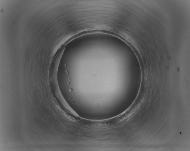 X0000073720789200608171202