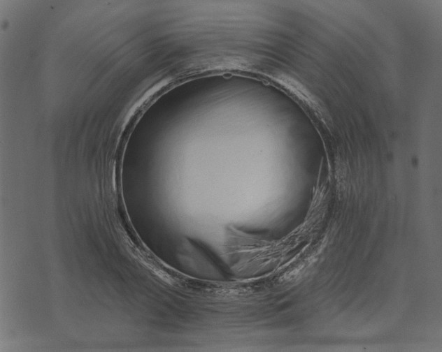 X0000073720790200608171202