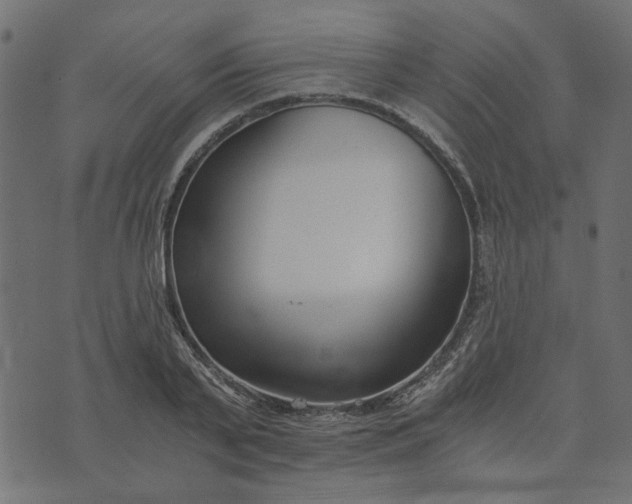 X0000073720791200608171202