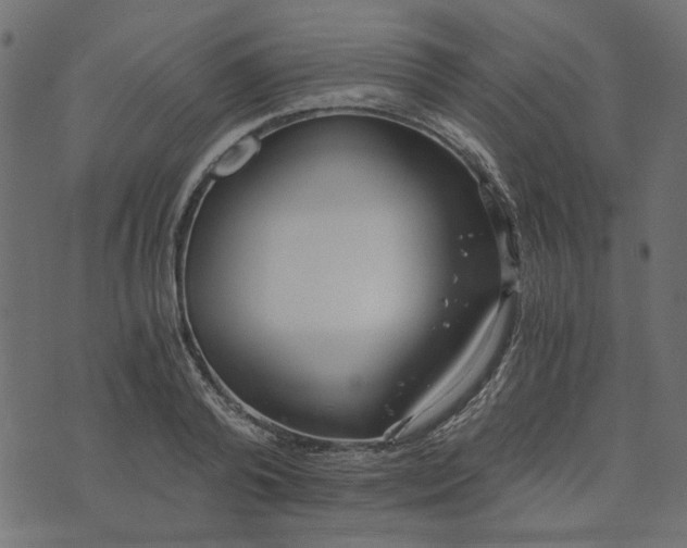 X0000073720792200608171202