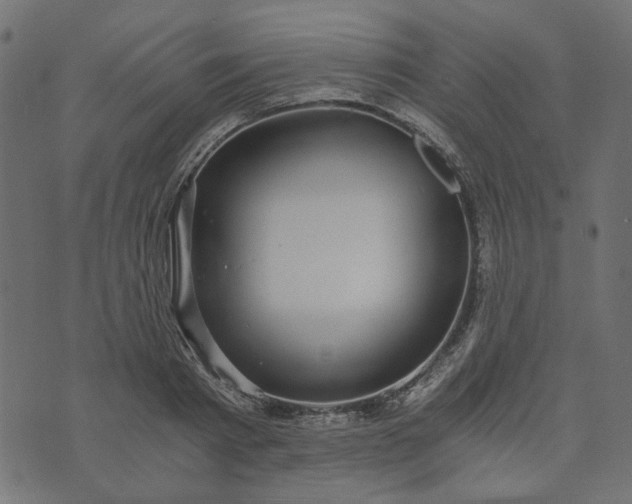 X0000073720793200608171202