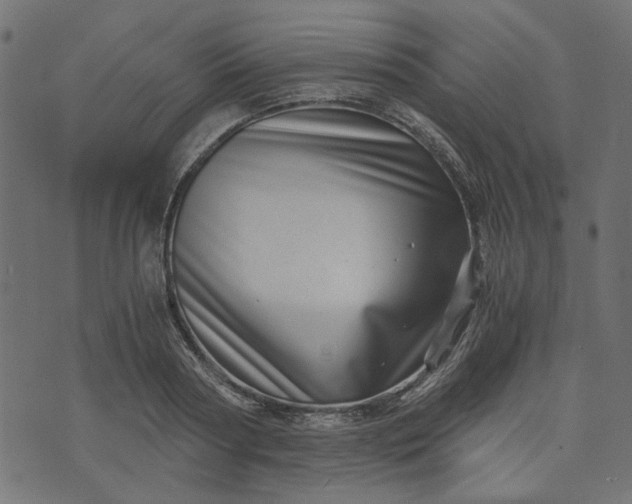 X0000073720794200608171202