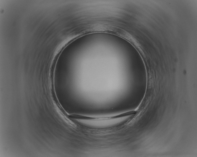 X0000073720795200608171202