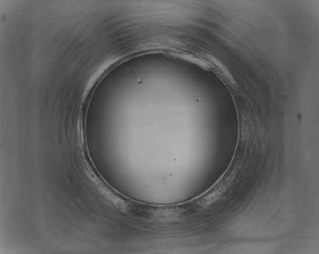 X0000073720796200608171202