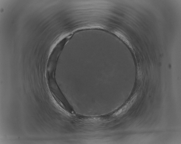 X0000073720797200608171202