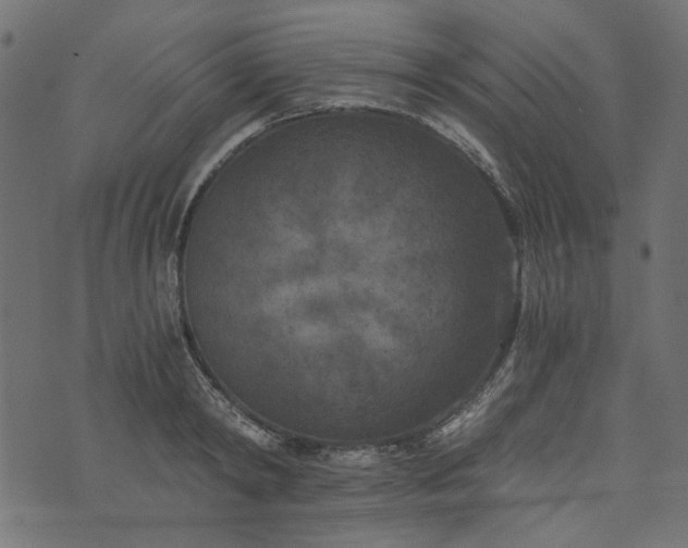 X0000073720798200608171202