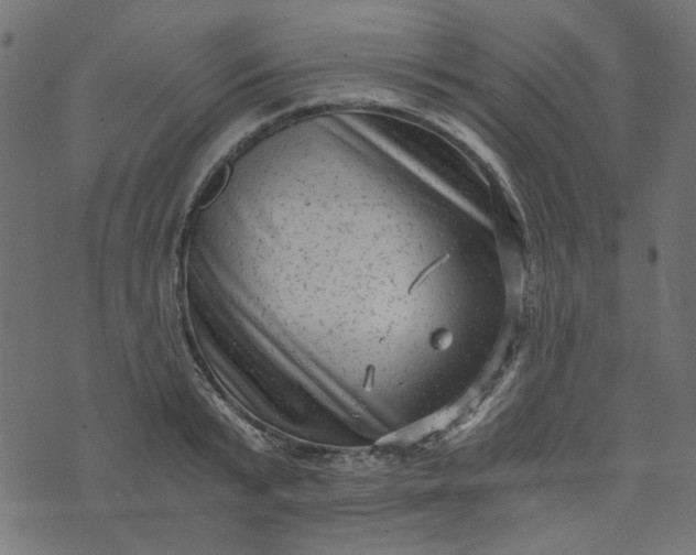 X0000073720799200608171202