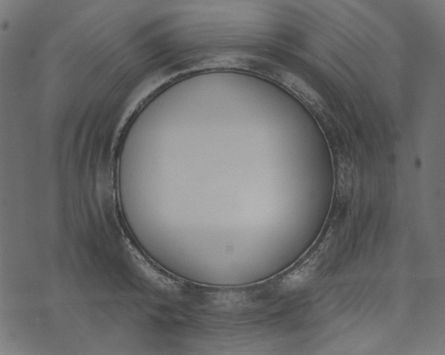 X0000073720800200608171202