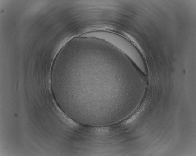 X0000073720802200608171202