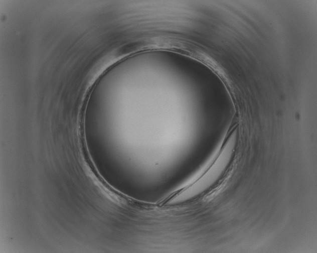 X0000073720803200608171202