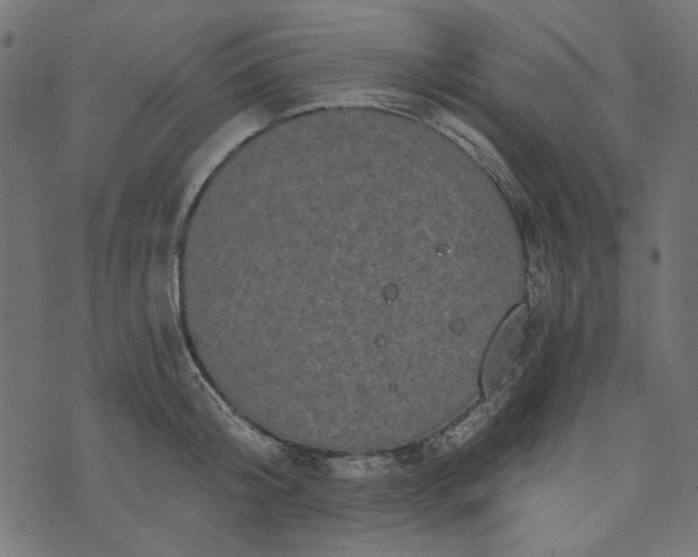 X0000073720804200608171202