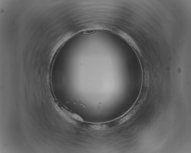 X0000073720805200608171202