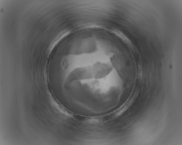 X0000073720806200608171202