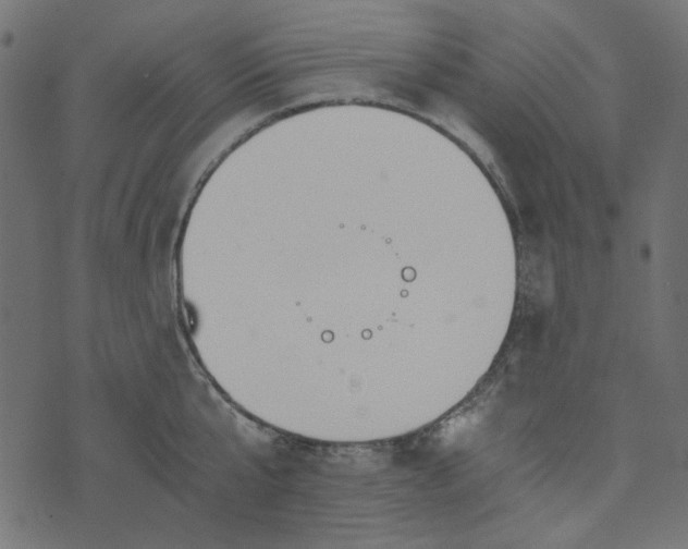 X0000073720807200608171202