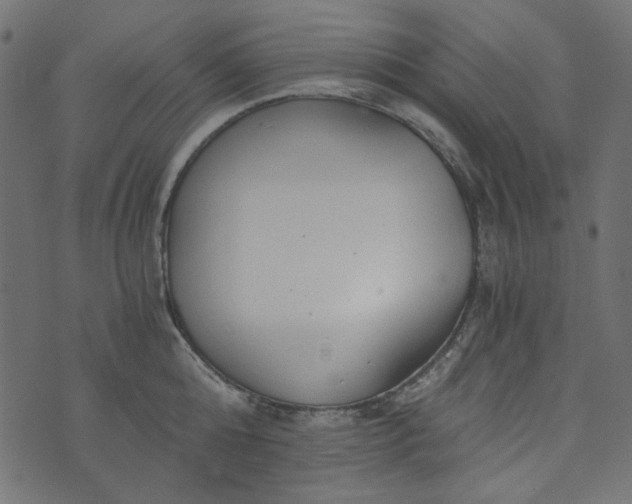 X0000073720808200608171202