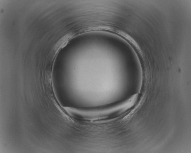 X0000073720809200608171202