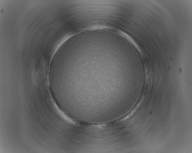 X0000073720810200608171202