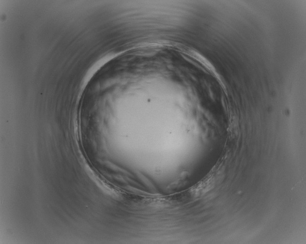 X0000073720811200608171202