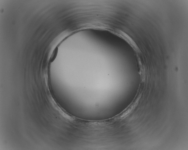 X0000073720812200608171202