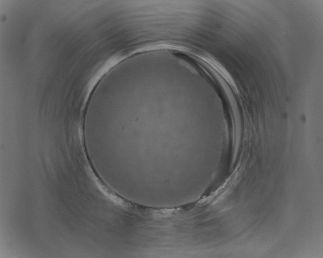 X0000073720813200608171202