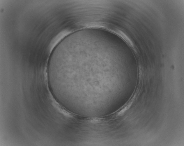 X0000073720814200608171202