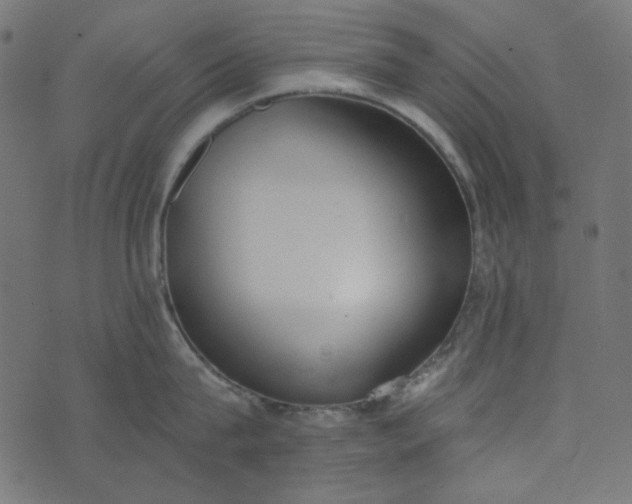 X0000073720815200608171202