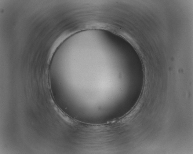 X0000073720816200608171202