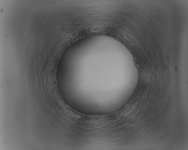 X0000073720817200608171201