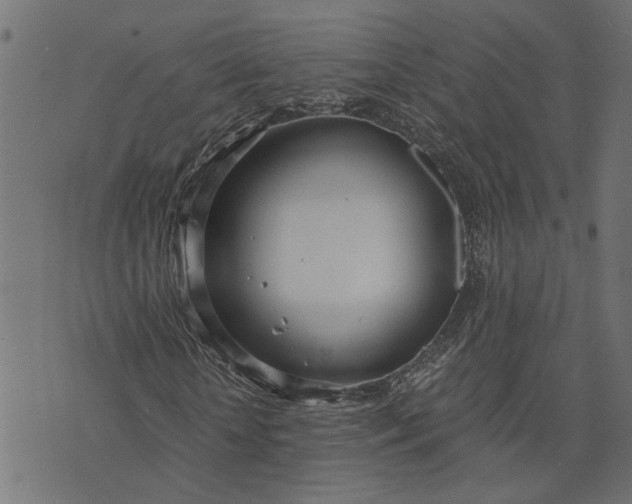 X0000073720818200608171201