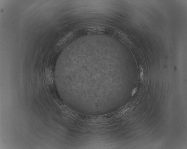 X0000073720819200608171201