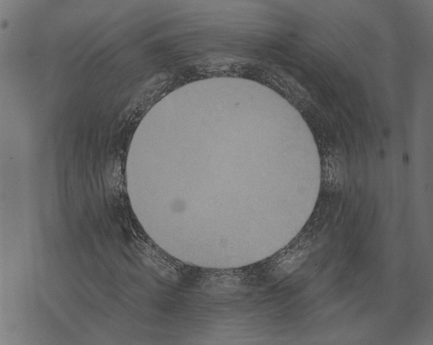 X0000073720820200608171201