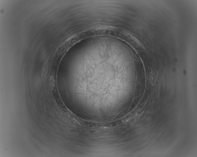 X0000073720821200608171201