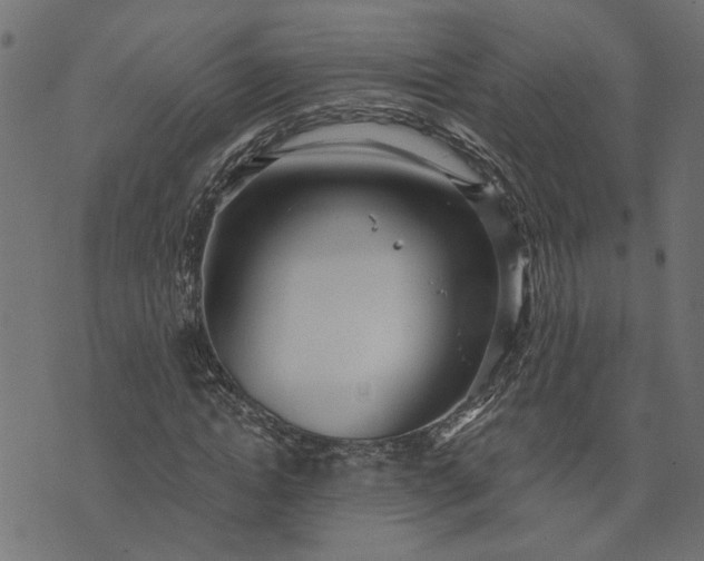 X0000073720822200608171201