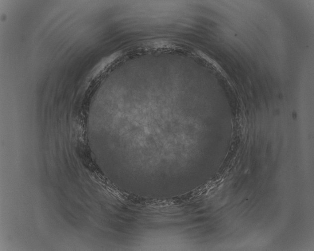 X0000073720823200608171201