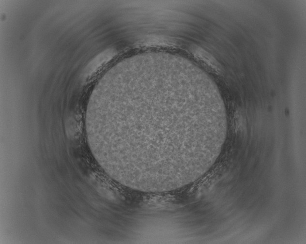 X0000073720824200608171201